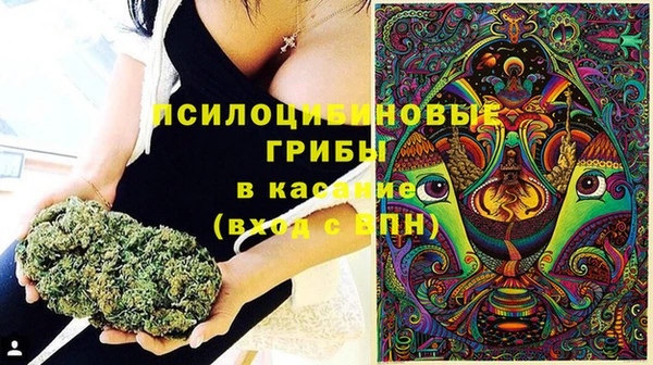 прущие грибы Армянск
