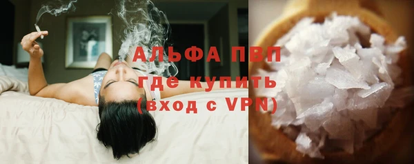 индика Балабаново