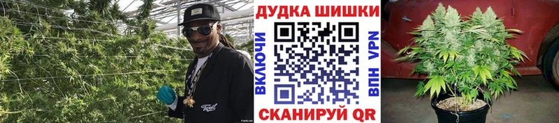 Шишки марихуана ГИДРОПОН Лабинск